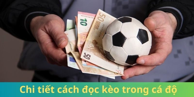 Cách đọc kèo tài xỉu chi tiết trong cá độ