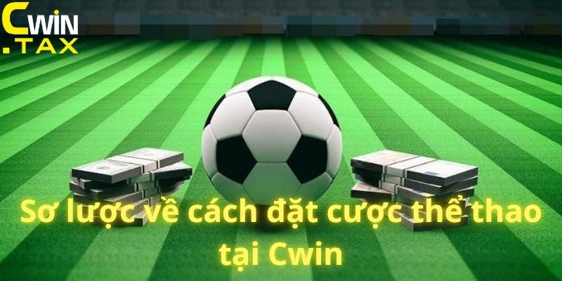 Sơ lược về cách đặt cược thể thao tại Cwin